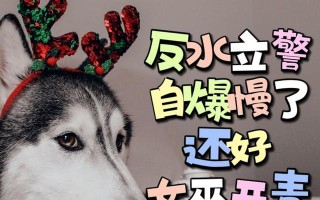 双爆狼人出装顺序攻略（破解最新版本，揭秘最强输出套路）