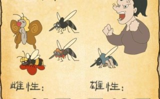 囧游戏34关攻略（找寻线索、解谜难题，帮助小囧逃离险境！）