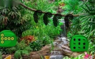 探秘黑湾疯人院的神秘世界（迷失在疯人院的禁地——黑湾疯人院攻略解说）