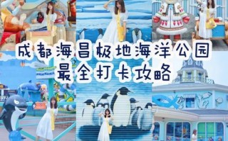 以很高兴遇见你游戏攻略（探索丰富的故事情节与角色发展，让你全面了解这款游戏的魅力）