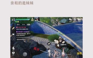 《以天谕手游游戏攻略大揭秘》（掌握关键技巧，成就游戏高手！）