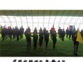 《我们是合伙人》游戏攻略大全（成为合伙人的终极指南，玩转游戏攻略！）