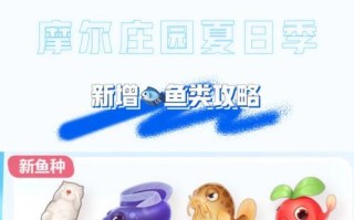 《终极攻略！玩转宫庄手游，成为最强王妃！》（从菜鸟到巅峰，你需要知道的关键攻略及技巧）