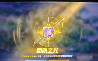 国服扁鹊铭文出装攻略（如何优化扁鹊的铭文和装备选择来提升实力）