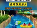 《探索奇幻世界，畅享森林水世界游戏攻略大全》（百变玩法、无尽乐趣，助你成为顶尖玩家）