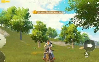 征服奇幻战场（成为最强玩家的秘密武器）