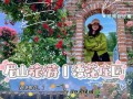 鲜花庄园手游攻略（解锁高级花种，建设花海盛景，享受游戏乐趣！）