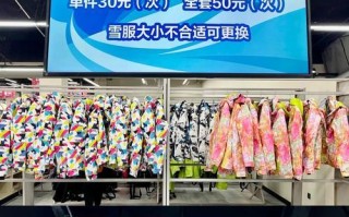 摆渡巴士游戏大全攻略（游戏玩法、关卡攻略、技巧心得全收录！）