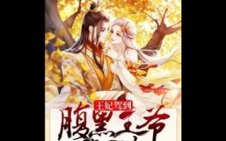 《以懒惰王妃哪里跑攻略》（如何追踪寻找逃跑的王妃）