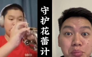 妹妹教育计划攻略（为你的妹妹制定个性化教育计划，助力她成长）