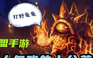 龙龟护甲出装攻略（高效利用龙龟护甲提升角色防御能力）