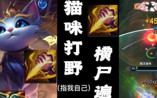 以打野猫法师出装最新攻略（狂野无界，法力无限——掌握打野猫法师出装的秘诀！）