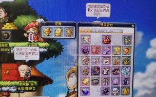《这是黑还是白游戏攻略》（玩转黑白对决，一举成败）