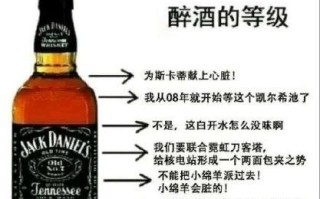 《掌握RUA手游攻略，成为顶级玩家》（全面分析RUA手游攻略技巧，带你征服游戏世界）