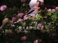 攻略滨江森林公园，享受自然之美（探索丰富多样的游览项目，亲近大自然的理想目的地）
