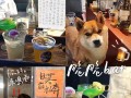 小熊酒馆游戏攻略（探索经营策略，体验迷人的冒险故事）