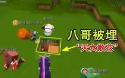 《地瓜小表妹游戏攻略大揭秘！》（一场关于地瓜小表妹的精彩冒险，让我们一起来探索吧！）