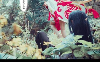 《狐妖小红娘手游攻略大全》（快速成为顶级玩家，掌握攻略要诀）