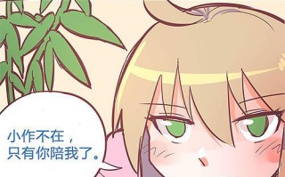 乱世浮萍阿白出装攻略（15个段落详解如何选择最新的阿白出装方案）