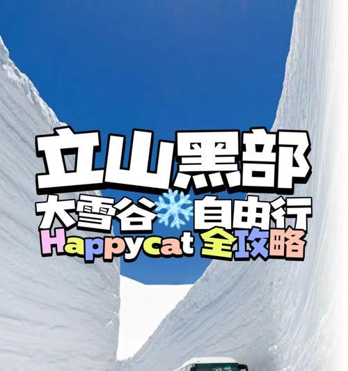 征服阿尔卑斯，攻略大全（攀登巅峰，探索壮丽）-第2张图片-游趣乐园
