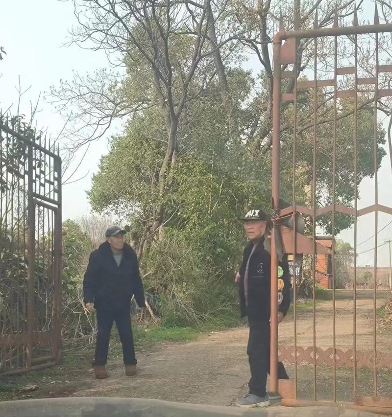 《掌握乱武大会，成为龙武之王的攻略指南》（用策略与实力征服乱武大会，）-第1张图片-游趣乐园