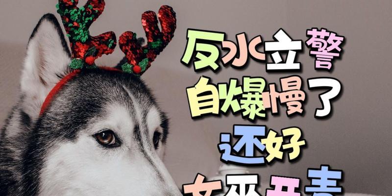 双爆狼人出装顺序攻略（破解最新版本，揭秘最强输出套路）-第1张图片-游趣乐园