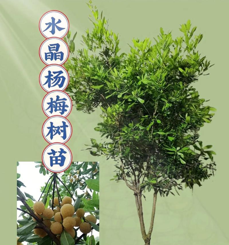 探索晶莹水晶七巧板的无限魅力（挑战你的智力和创造力，发现水晶世界的奥秘）-第1张图片-游趣乐园