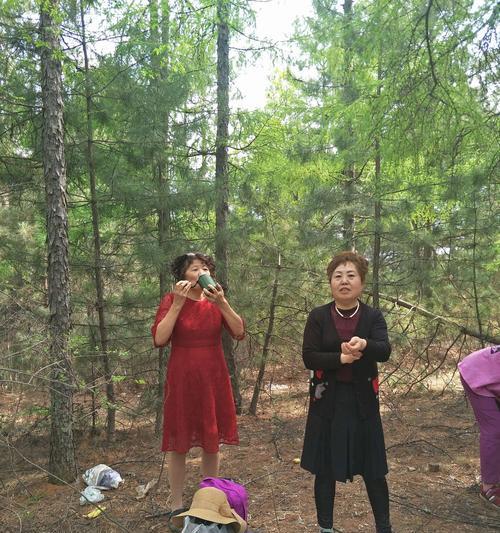 八姐妹阵容出装搭配攻略（强力组合登场，华丽团战不止！）-第1张图片-游趣乐园