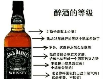 《掌握RUA手游攻略，成为顶级玩家》（全面分析RUA手游攻略技巧，带你征服游戏世界）-第1张图片-游趣乐园