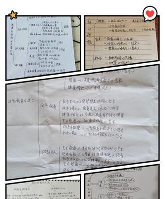 烧脑益智大赛中班攻略（探索思维的奥秘，挑战智力极限，解密中班级别的烧脑游戏！）-第2张图片-游趣乐园