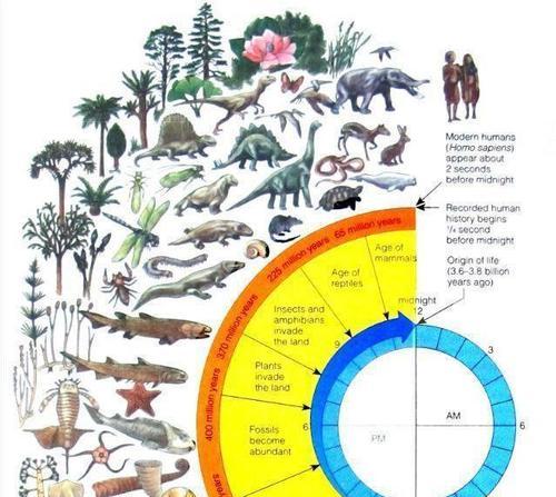 《探索猿人进化史的游戏攻略》（从原始猿人到现代智人，探索进化的奥秘！）-第2张图片-游趣乐园