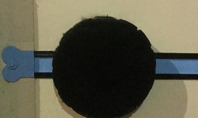 苹果游戏《暗箱攻略》全面解析（玩转《暗箱攻略》，探索未知的游戏世界）-第1张图片-游趣乐园