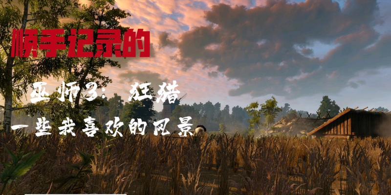 巫师百果园攻略（解谜、战斗与探险，体验神秘巫师世界的精彩冒险之旅）-第3张图片-游趣乐园