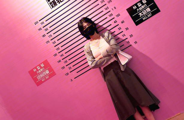 粉红顽皮豹攻略（一起来探索粉红顽皮豹的游戏世界吧！）-第1张图片-游趣乐园