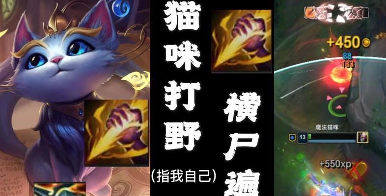以打野猫法师出装最新攻略（狂野无界，法力无限——掌握打野猫法师出装的秘诀！）-第1张图片-游趣乐园