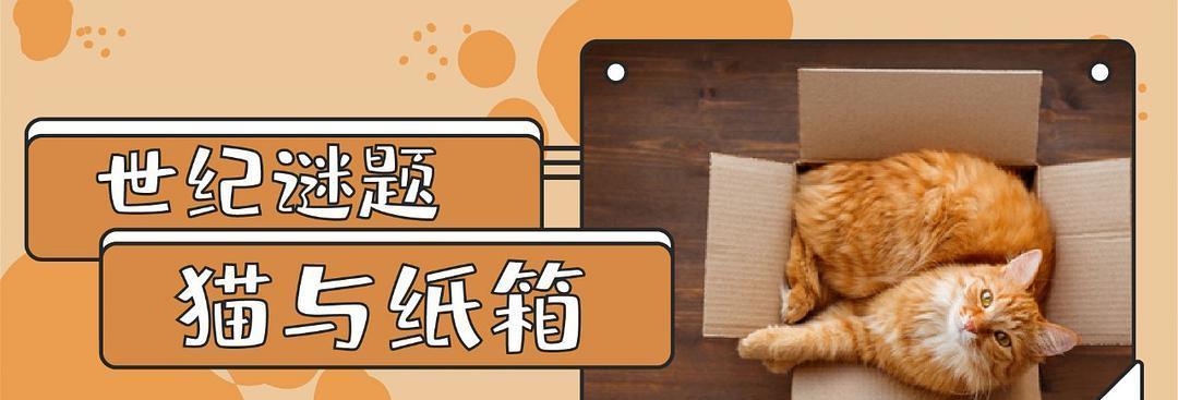 《探秘猫与纸箱子的游戏攻略》（揭开猫咪心理，玩转纸箱乐趣）-第2张图片-游趣乐园