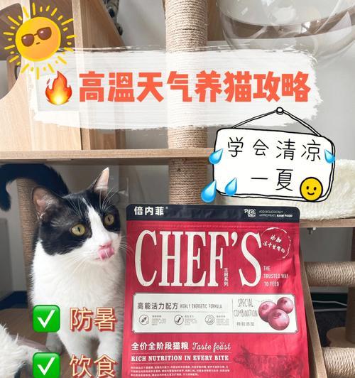猫咪克隆模式出装攻略——打造独一无二的队伍（探索不同克隆组合与装备选择，让你的猫咪团队更加强大）-第3张图片-游趣乐园