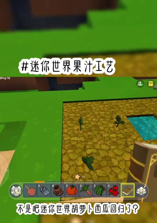 《迷你世界南瓜游戏攻略大全》（掌握关键技巧轻松闯关南瓜游戏）-第2张图片-游趣乐园