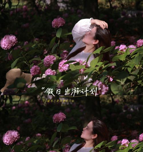 攻略滨江森林公园，享受自然之美（探索丰富多样的游览项目，亲近大自然的理想目的地）-第1张图片-游趣乐园