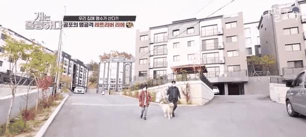 魔幻共存（当人类与恶魔相互依存，建立和谐共生的秘诀揭晓）-第1张图片-游趣乐园