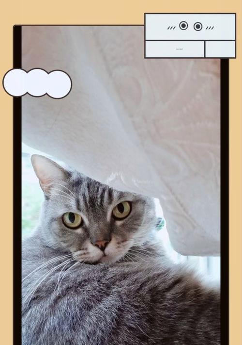 猫咪攻略（探索猫咪世界的奇妙冒险）-第2张图片-游趣乐园